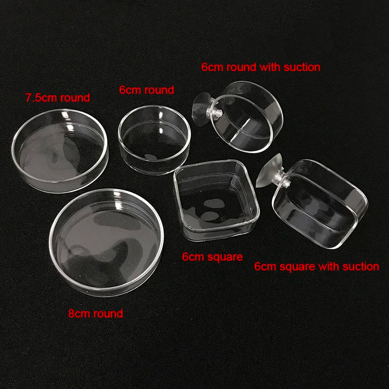 Transparent Aquarium Fish Tank Shrimp Food Feeding Circle Glass Feeder Floating Bottom Feeder Fish Shrimp Aquarium Accessories