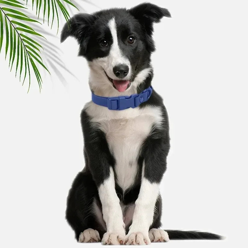 New Macaron Colored PVC Dog Collar Waterproof Dirt Resistant Easy To Clean Pet Collar Adjustable Neck Collar Pet Dog Collar Set
