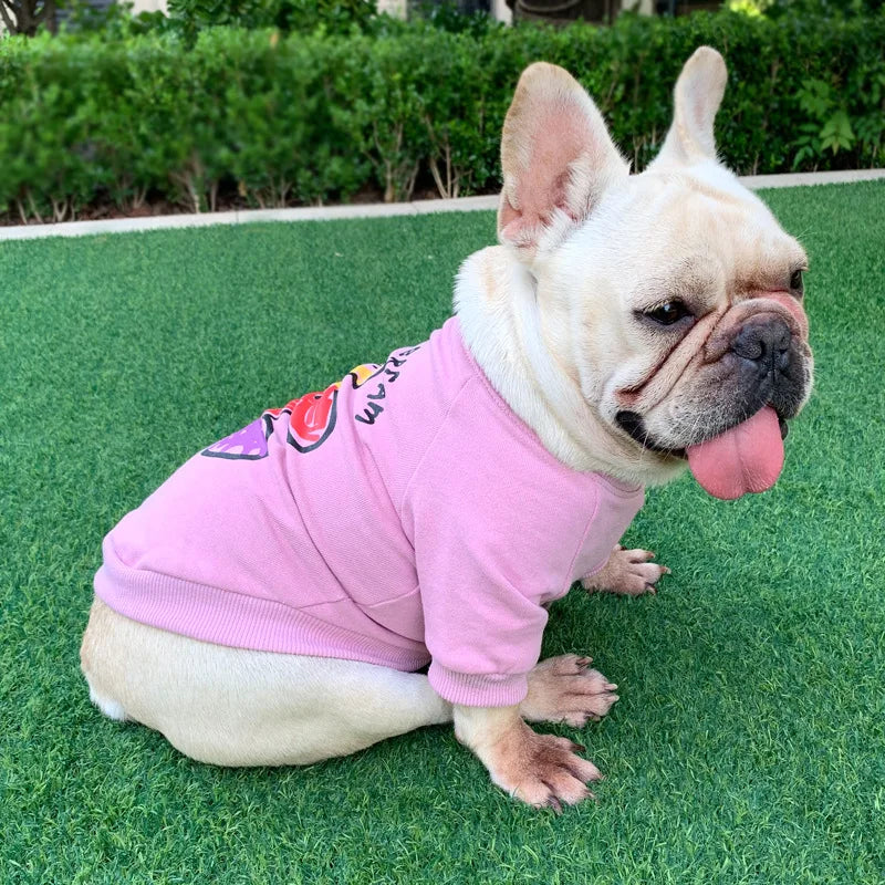 The New Dog Costume Dog Clothes for Small Dogs Parent-child Wear Spring and Autumn Pure Cotton Three Colors Seven Sizes