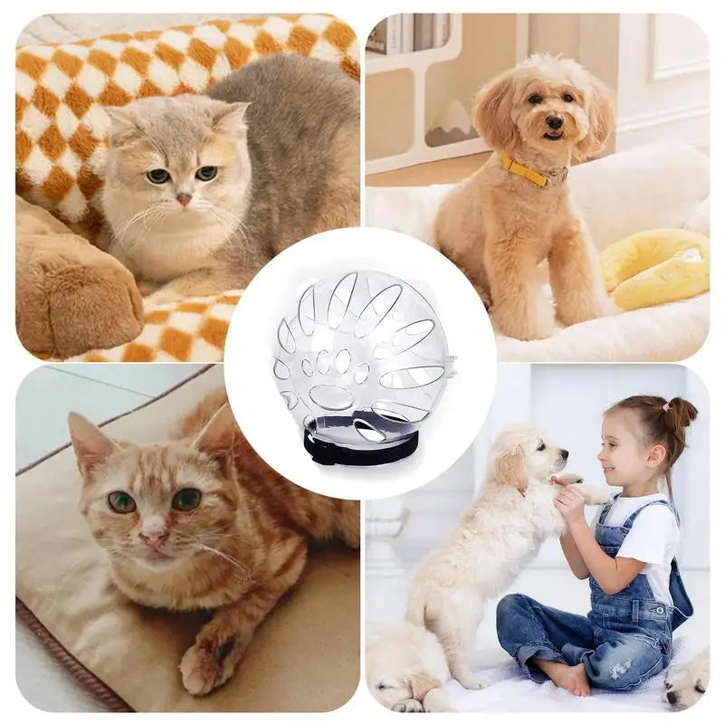 Transparent Cat Muzzle Anti Bite Transparent Cat Head Cover Breathable Clear Pet Accessories With Magical Sticker Cat Bubble Muz