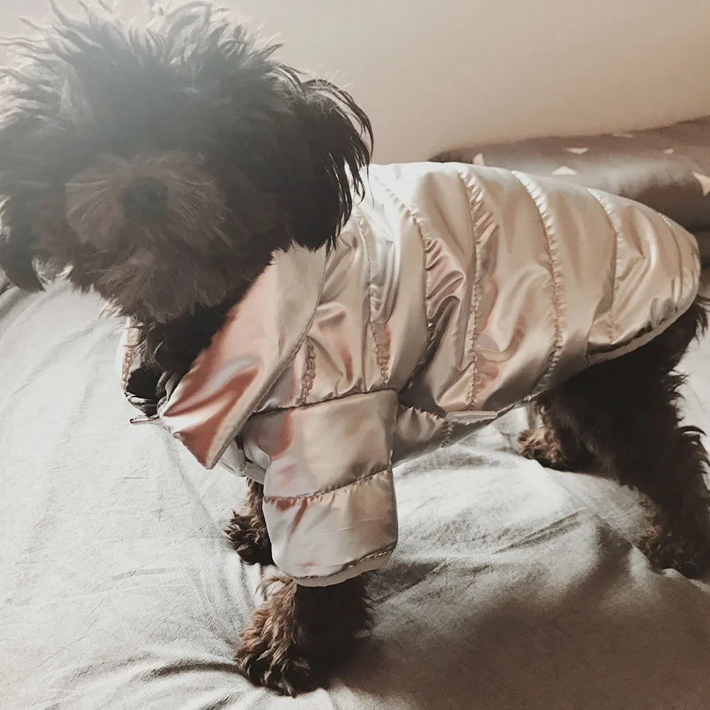 Puppy Pet Dog Clothes Outdoor Windproof Waterproof Leather Dog Coat Winter Warm Padded Jacket for Dogs and Cats in Cold Weather