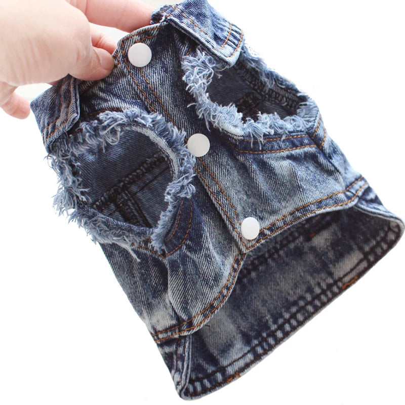 Sphinx Cat Clothes for Small Medium Large Cats, Dark Washed Cat Jeans Jacket Spring Autumn Denim Coat Cat Costume Pet Apparel