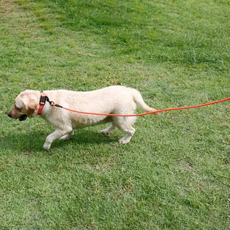 Waterproof PVC Pet Dog Leash 5m 10m Recall Training Leash Strong Tie Out Cable For Small Medium Large Dogs