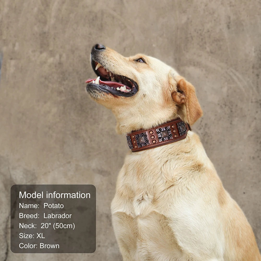 Cool Spiked Dog Collar For Medium Large Dogs Genuine Leather Pitbull Bulldog Adjustable Pet Accessories Collars Necklace
