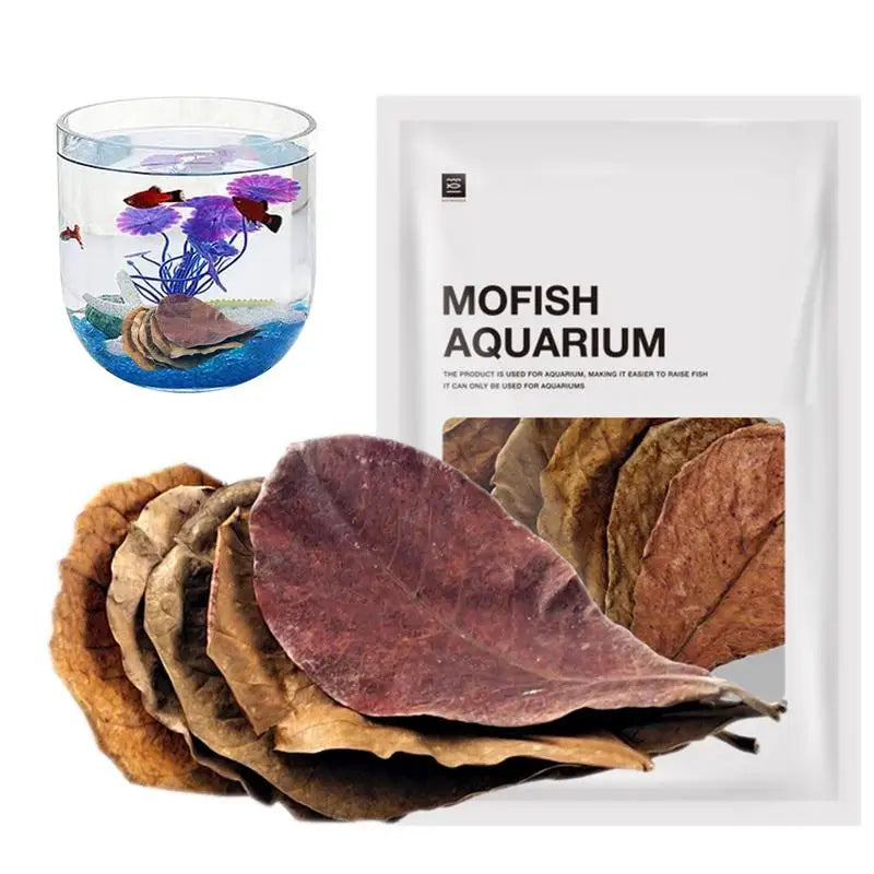 20pcs Aquarium Almond Leaves Catappa Almond Leaves Catappa LeavesTank Fish Cleaning Indian Almond Tree Aquarium Decoration