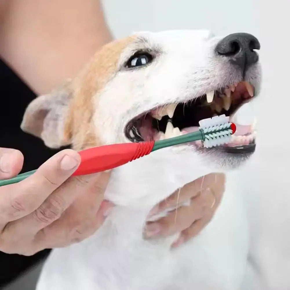 Double Head Pet Toothbrush Cat Dog Pet Cleaning Toothbrush Safe Food Grade Material Non-irritating Soft Hair Maintain Pet Oral H