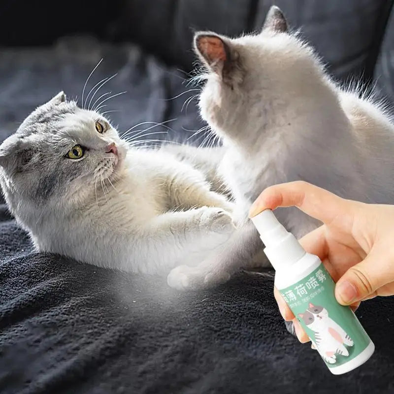 Spray Catnip Natural Maximum Potency Cat Nip Bundle High Potency Catnip 50ml Safe Non-Addictive Catnip Feline And Cat Lover