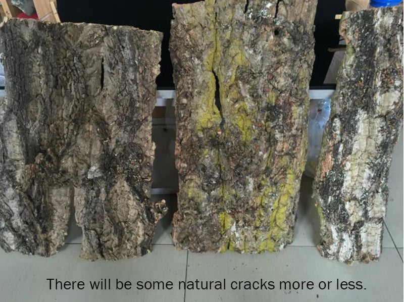 2Pcs Natural Tree Bark Aquarium Decoration Wood Artwork Decor Landscaping Ornaments Decor Fish Tank Background Moss Decor