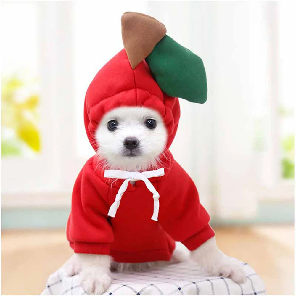 Cute Fruit Pet Costume Dog Clothes for Small Dogs Warm Fleece Doggy Hoodies Pet Dog Cat Clothing Puppy Sweater for Chihuahua Pug