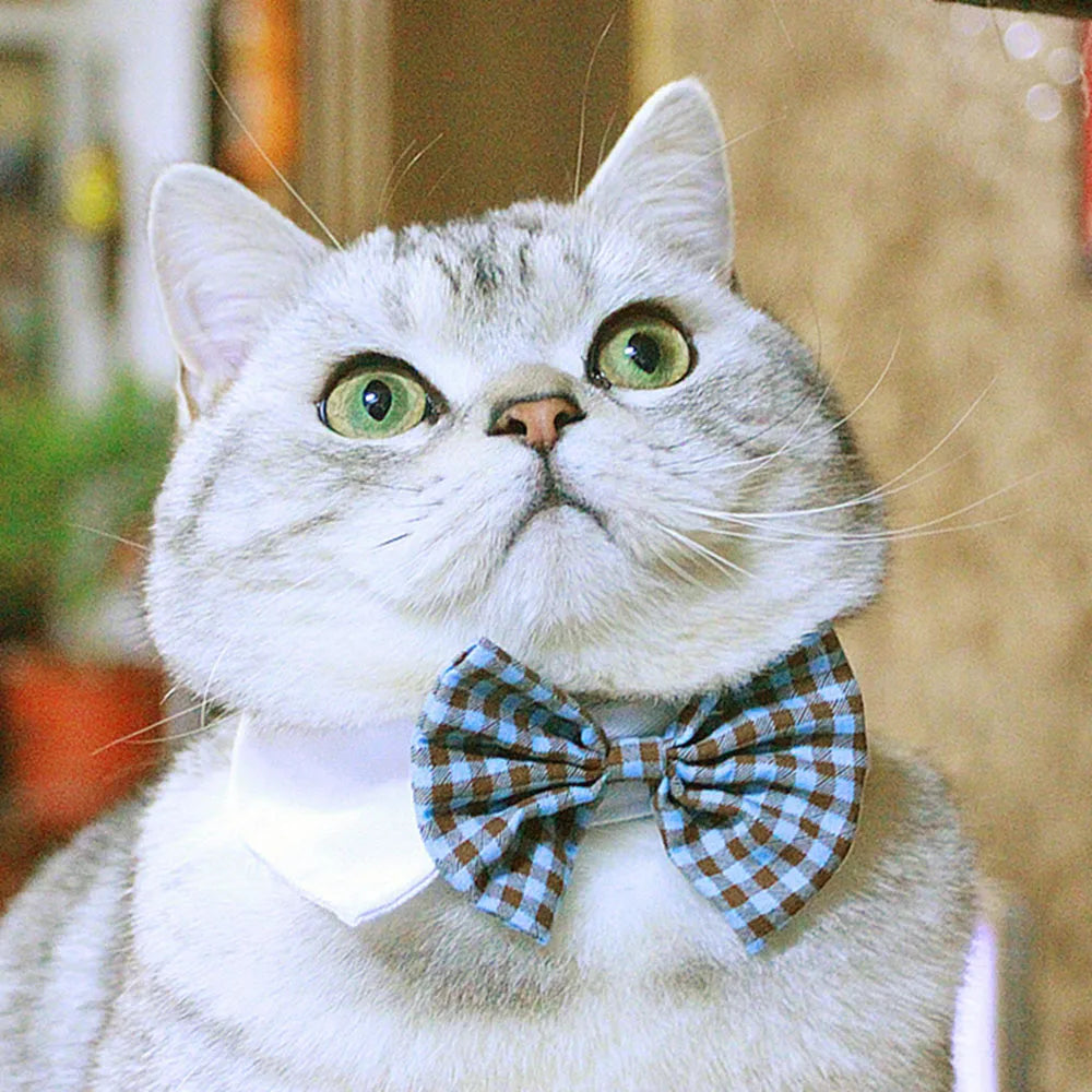 Pet Dog Cat Adjustable Bow Tie Collar Puppy Necktie Bowknot Bowtie Pet Cat Holiday Wedding Decoration Accessories for Small Dogs