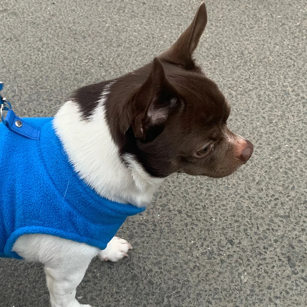 Pet Clothing Dog Fleece Vest Cold Weather Pullover Dog Jacket Winter Dog Clothes Sweater Coat with Leash Ring for Small Dogs Cat
