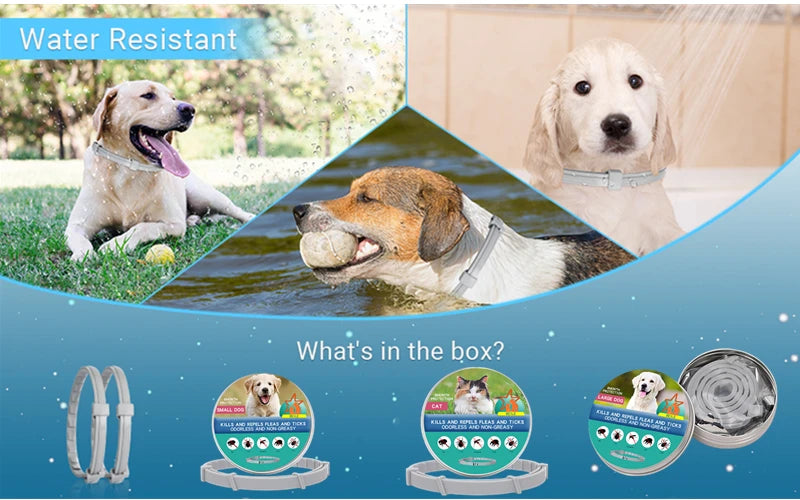 Extendable Pet F le a Collar Necklace Personalized A n ti Fl ea and Ti ck Big Dog Puppy Cat An ti-Fl ea Collar T ic ks Dogs