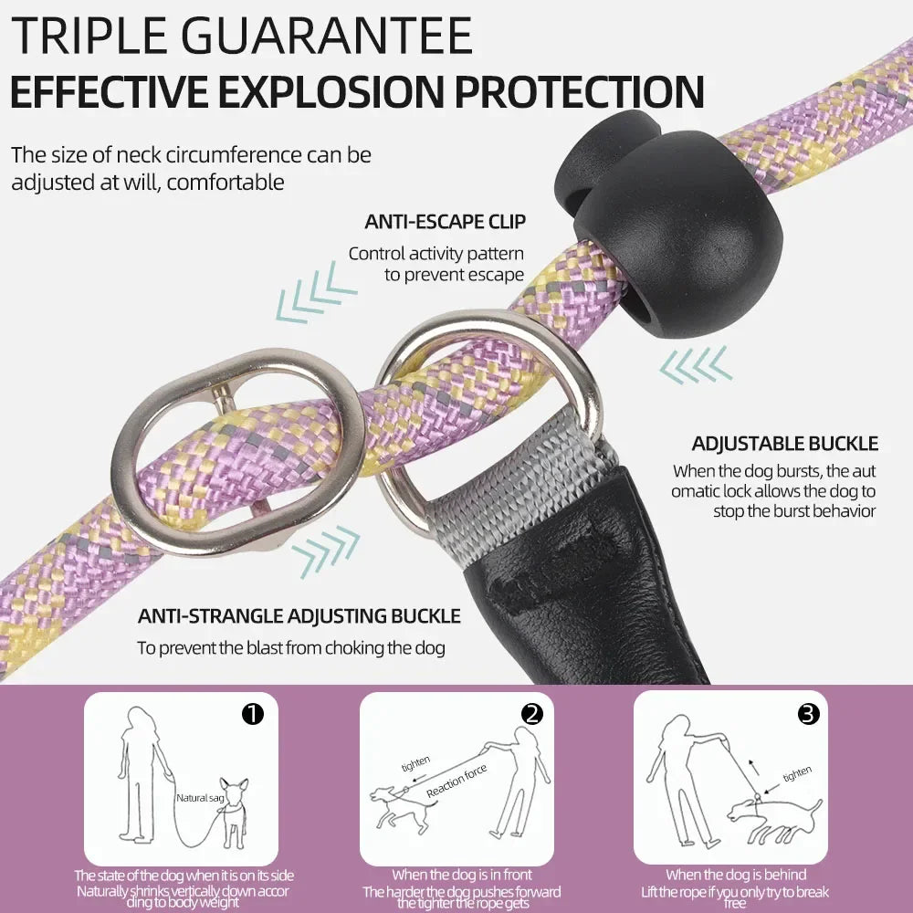Dog Collar Dog Leash P Chain Slip Rope Leads Leash Pet Puppy Nylon Rope Adjustable Loop Collar Slip Lead for Training Large Dogs