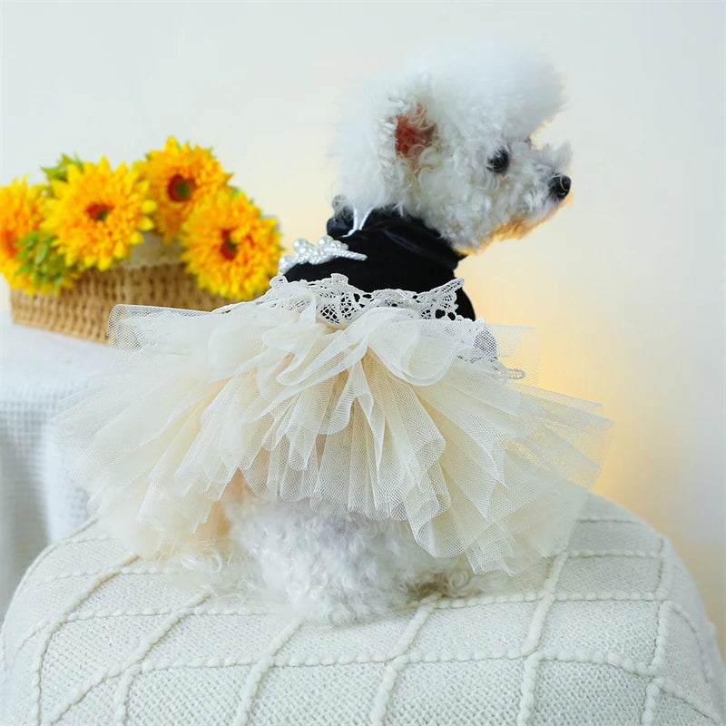 Sweet Princess Female Puppy Summer Clothes Wedding Party Dress for Dogs White Lace French Bulldog Small Medium Pet Cat Clothing