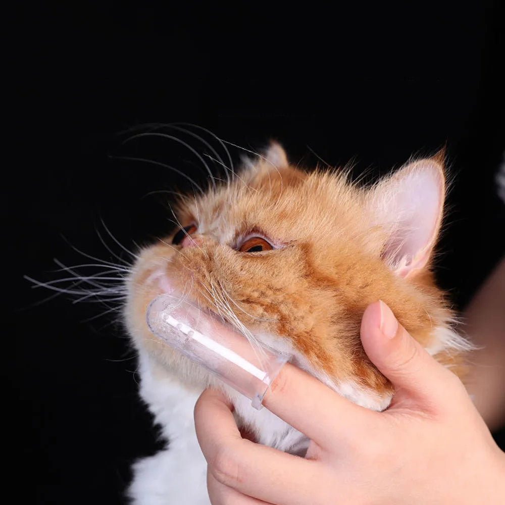 Dog Toothbrush Pet Fingertip Toothbrush for Cat Super Soft Oral Care Toothbrushes Finger Brush for All Pets Tooth Cleaning Brush