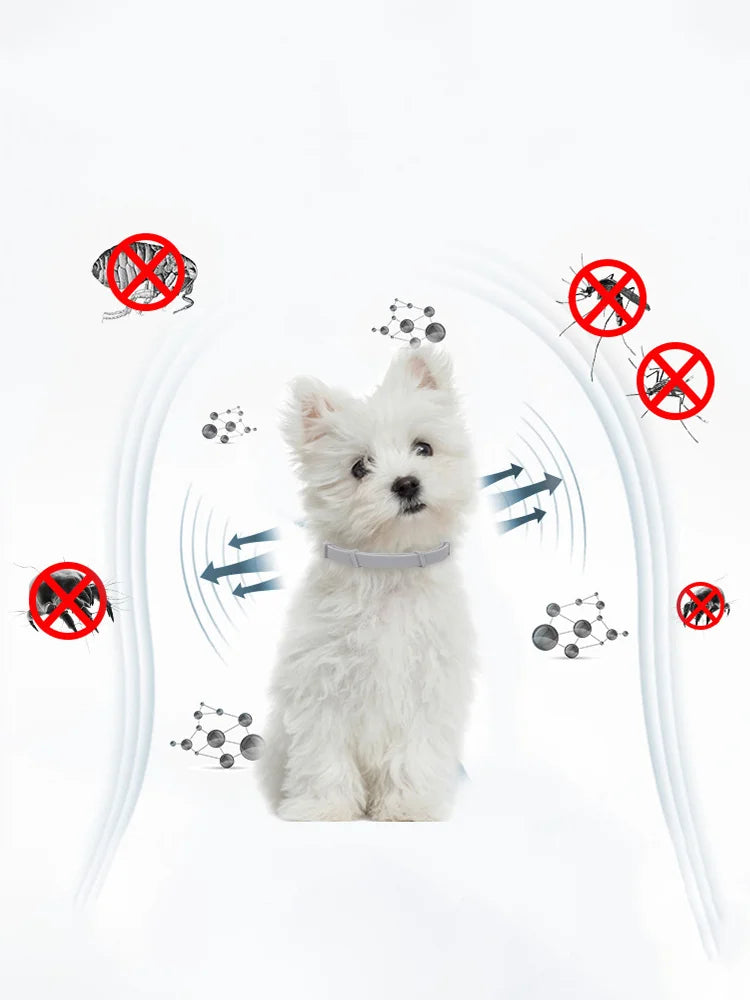 38/70CM Pet Anti Flea Ticks Antiparasitic Dog Cats Collar Protection Retractable Comfortable Breakaway Collars Kittens Large Dog