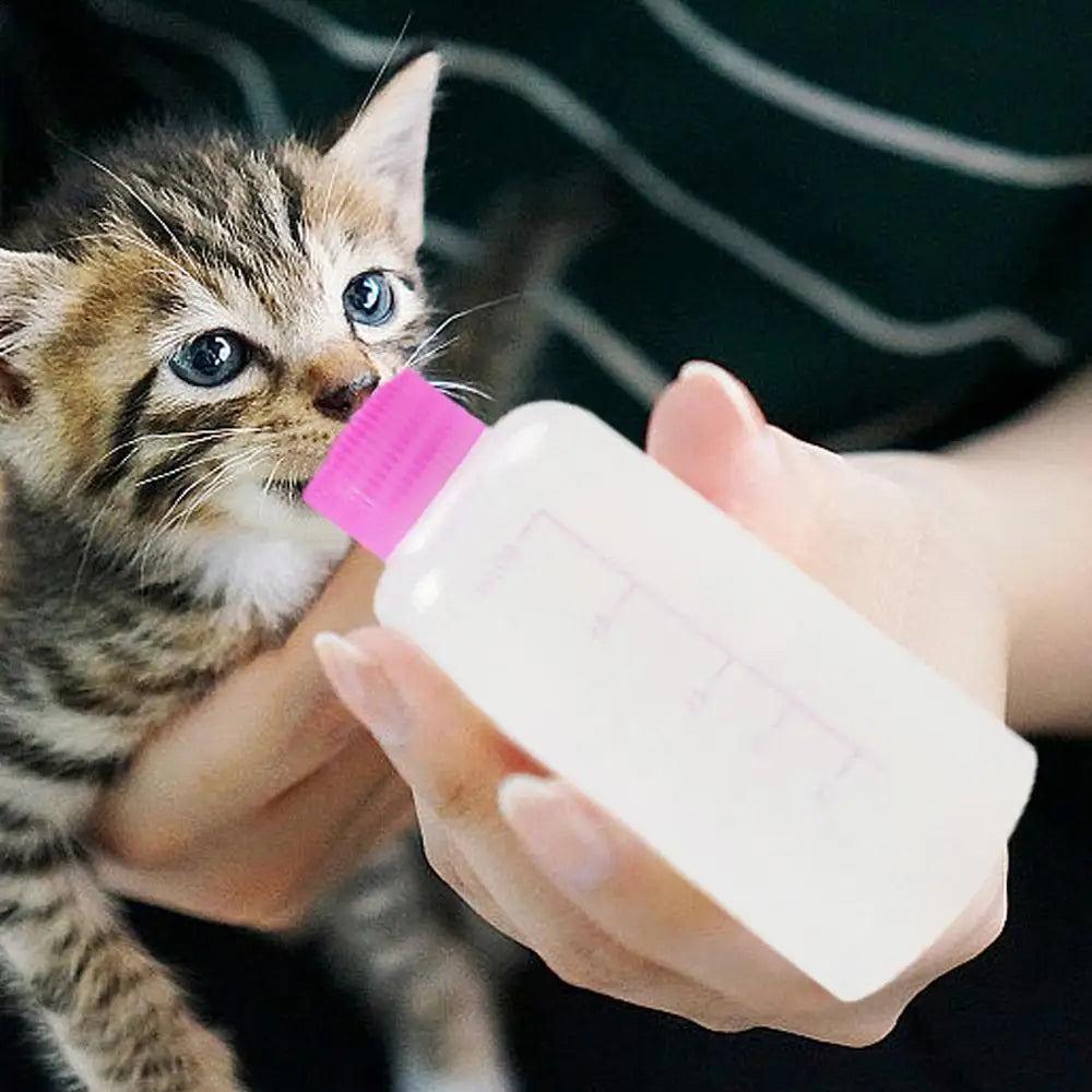 7pcs Puppy Nursing Bottle Kit Feeder Bottle Set for Small Dogs Replacement Feeding Nipples Cleaning Brushes for Puppies Kittens