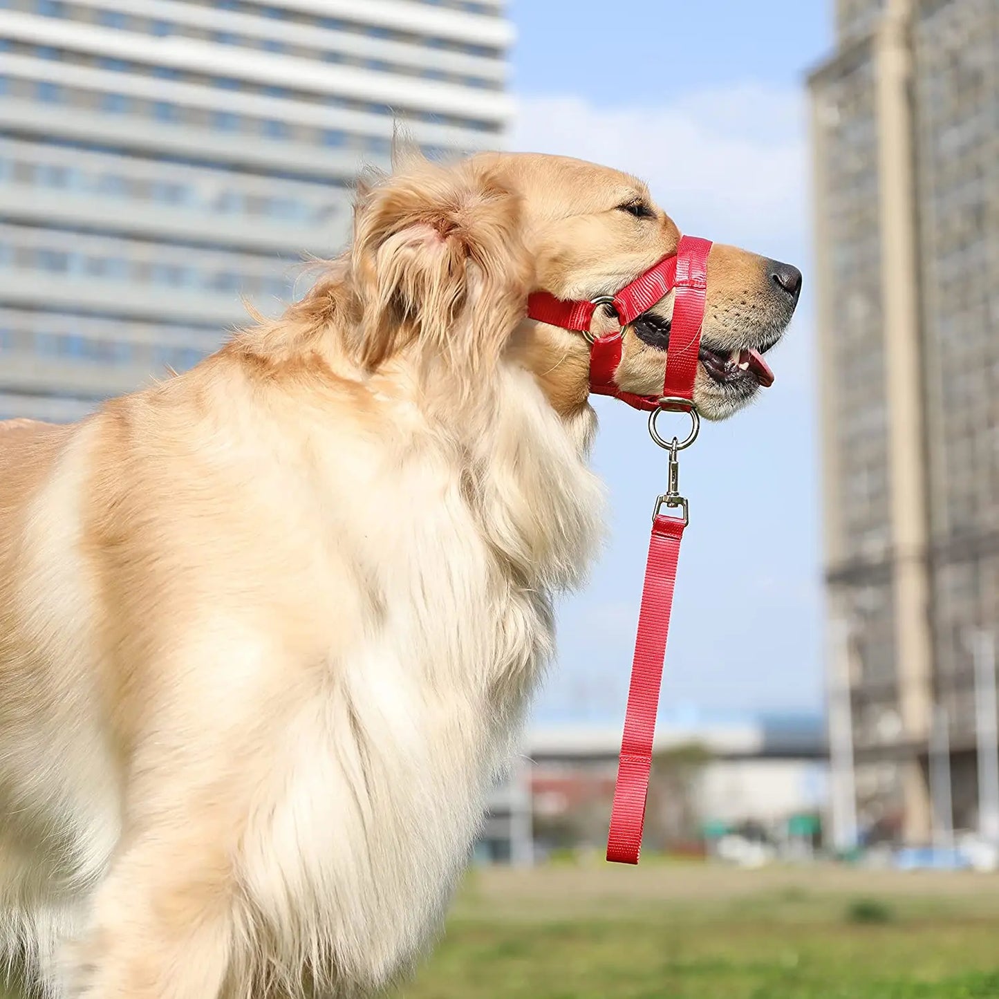 Nylon Dog Muzzle for Small Medium Large Dogs Adjustable Anti Barking Biting , Control Pet Leader Dog Head Collar Halter Leash