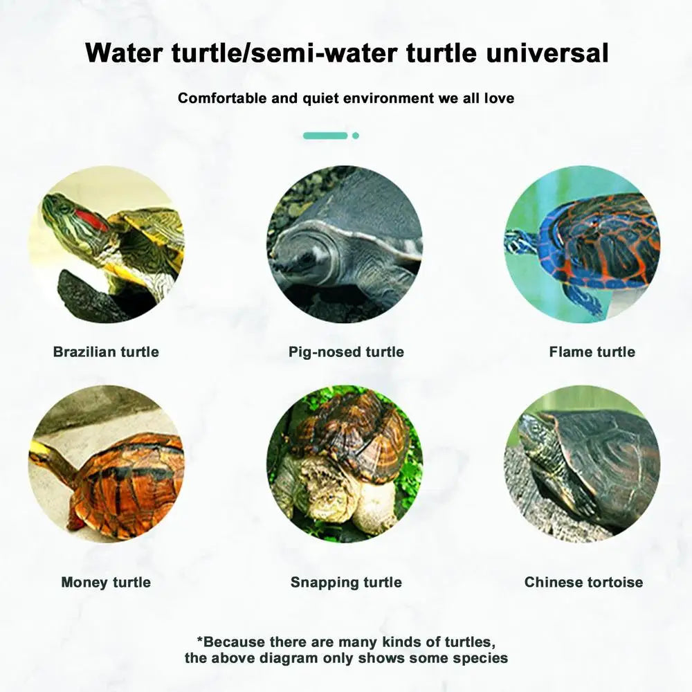 Turtle Tank Aquarium Baby Turtle Habitat With Lid Pet Turtle Habitat Detachable Double Layers Turtle Tank Anti-Slip Tortoise