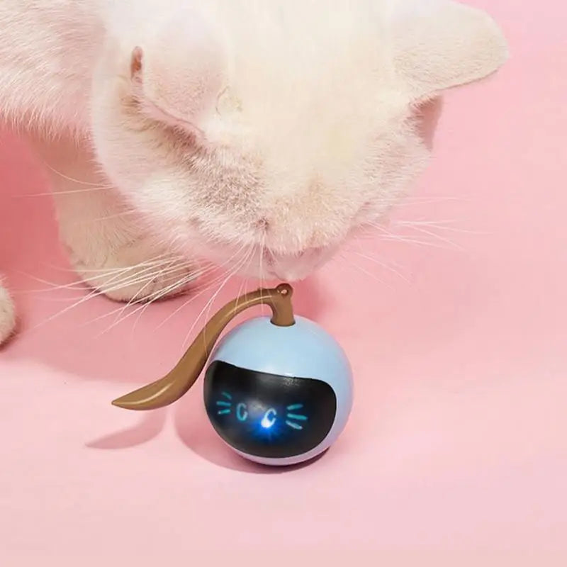 2 in 1 Self Rotating Ball Cat Toy Smart Interactive Cat Toy USB Rechargeable Wicked Ball 360 Degree Automatic Cat Moving Rolling
