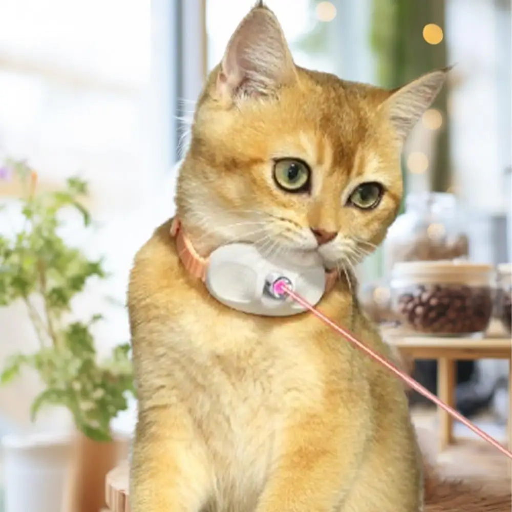 Laser Cat Collar LED Laser Cat Teasing Toy Cat Collar Toy Electric Smart Laser Teasing Cat Interactive Toy Kitten Playing Toy