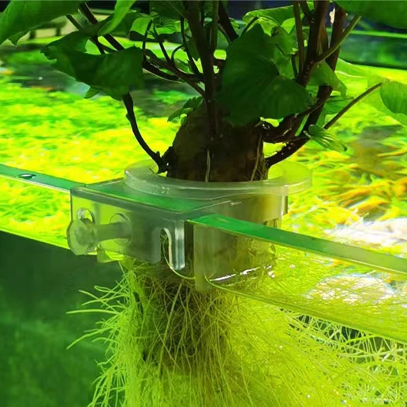Aquarium Planting Basket Hydroponic Support Hangable Fish Tank Water Grass Cup Aquatic Plant Holder Wall Hanging Flower Pots New
