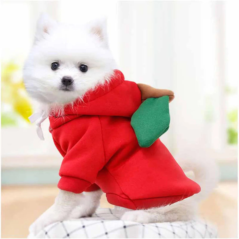Cute Fruit Pet Costume Dog Clothes for Small Dogs Warm Fleece Doggy Hoodies Pet Dog Cat Clothing Puppy Sweater for Chihuahua Pug