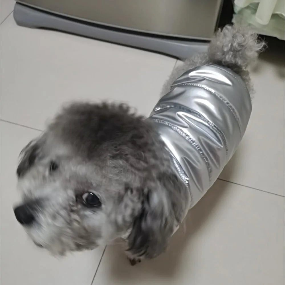 Puppy Pet Dog Clothes Outdoor Windproof Waterproof Leather Dog Coat Winter Warm Padded Jacket for Dogs and Cats in Cold Weather