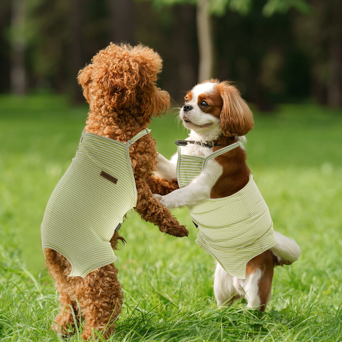 UXCELL Reusable Dog Diapers Female Dog Suspender Panties Casual Physiological Pants Adjustable Strap Striped Washable Underwear