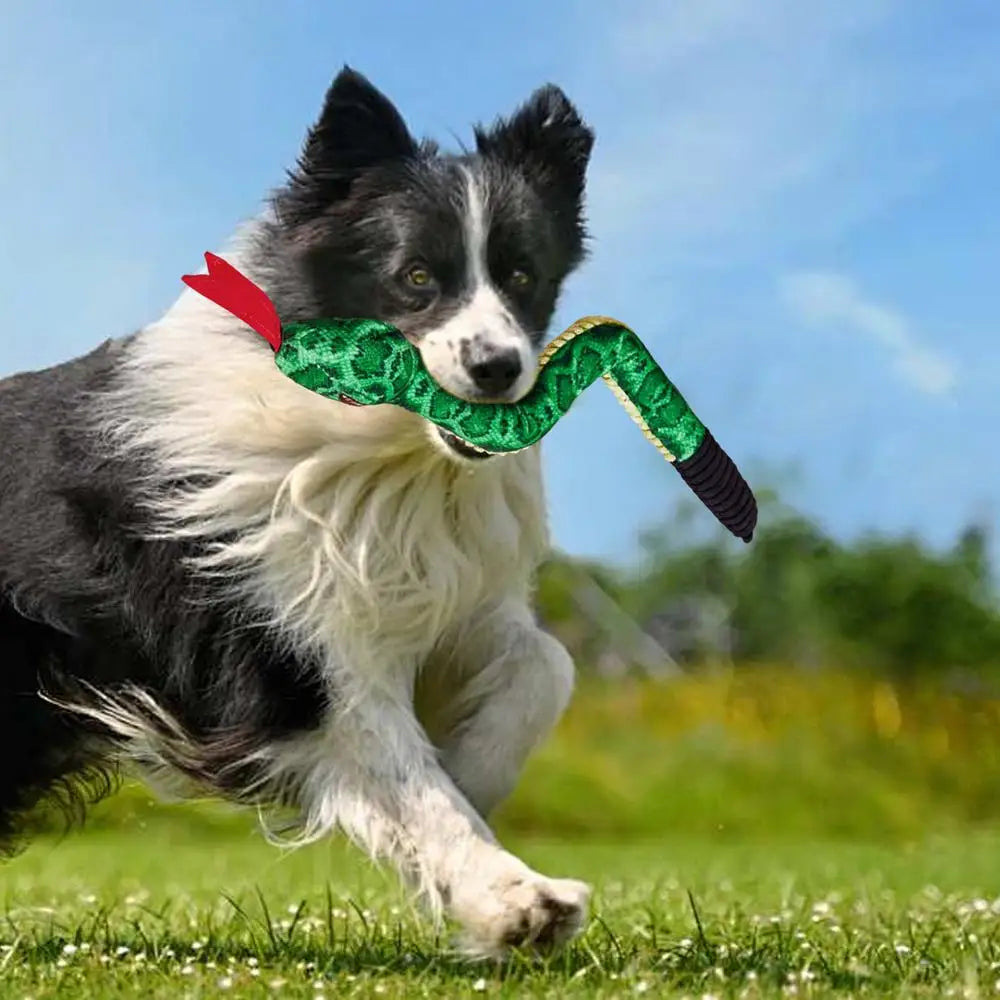 Squeaky Snake Dog Toy Plush Cute Dog Chewing Toy Stuffed Animal Bite-resistant Sounding Paper Animals Chew Toy For Puppy Dogs
