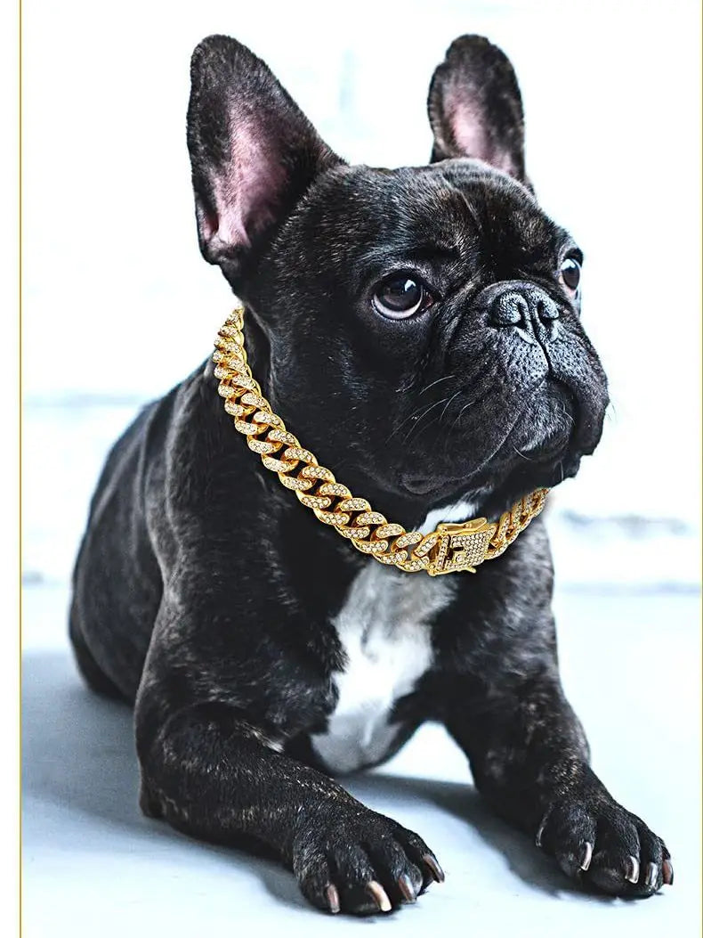 Dog Chain Diamond Collar Walking Metal Chain Collar with Design Secure Buckle Pet Cat Cuban Collar Jewelry Accessories