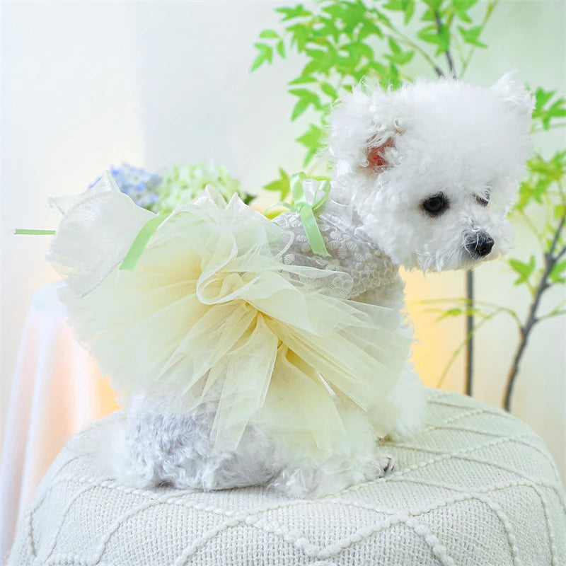 Summer White Puppy Veil Tutu Skirt Multi Layered Female Chihuahua Dresses for Sphinx Cat Wedding Party Small Medium Dog Clothes