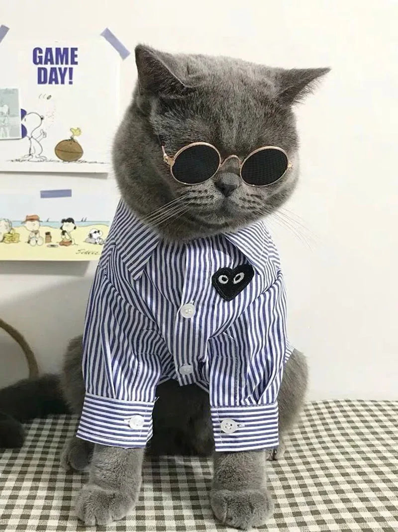 Anti-slip Cat Sunglasses Pet Accessories Small Dog Sun Glasses Classic Retro Circular Glasses for Kitten Photos Props Cosplay