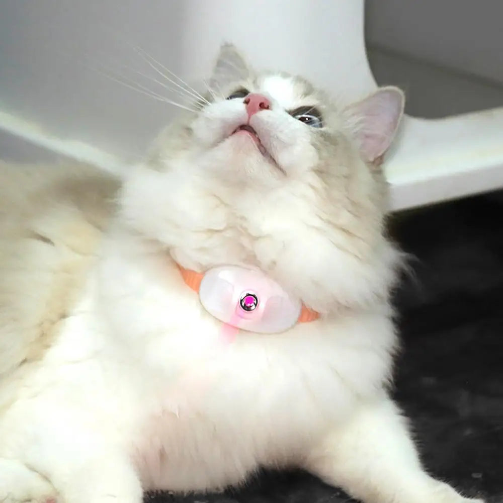 Laser Cat Collar LED Laser Cat Teasing Toy Cat Collar Toy Electric Smart Laser Teasing Cat Interactive Toy Kitten Playing Toy