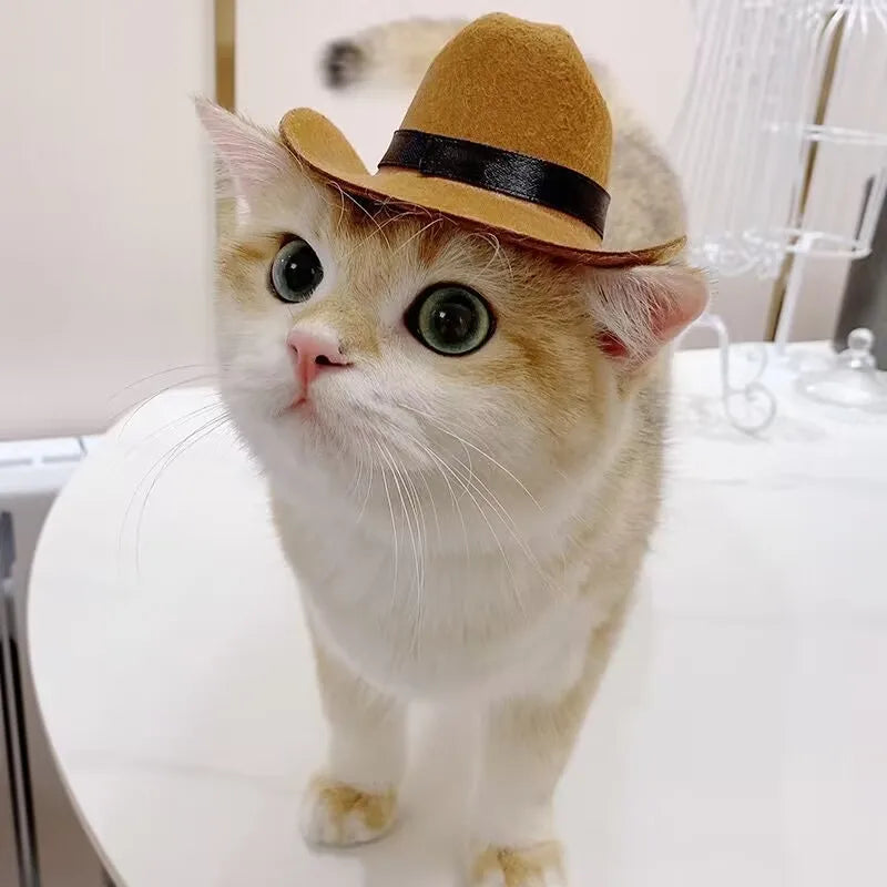 Pet Hat Dog Cat Western Cowboy Hat Halloween Pet Outdoor Caps Funny Retro Photo Prop Dog Accessories Doll Decor Pet Products