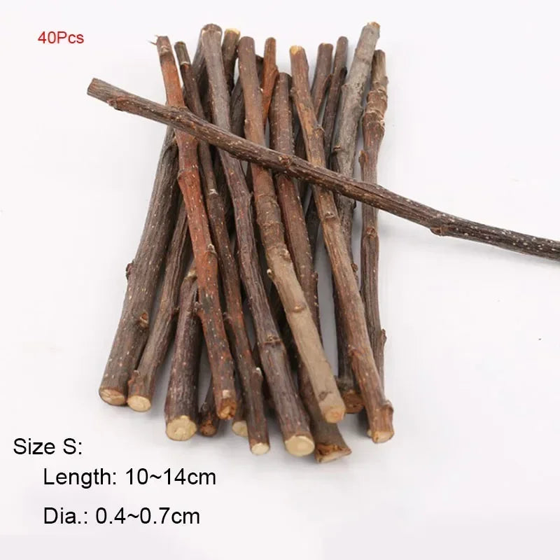 5pcs 10pcs 40pcs Chew Stick Apple Tree Branch Hamster Squirrel Natural Toys Parrots Rabbits Grinding Stick