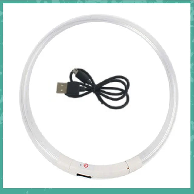 LED Dog Collar Light Up Dog Collars USB Rechargeable TPU Glow Safety Basic Dog Collars for Large Medium Small