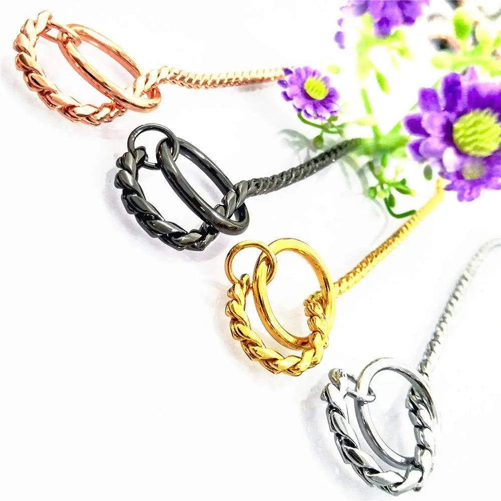 Metal Chain Dog Show Collar Pet Slip Collar for Shows Fine Brass Snake Choke Chain Collar Adjustable for Small Medium Large Dogs