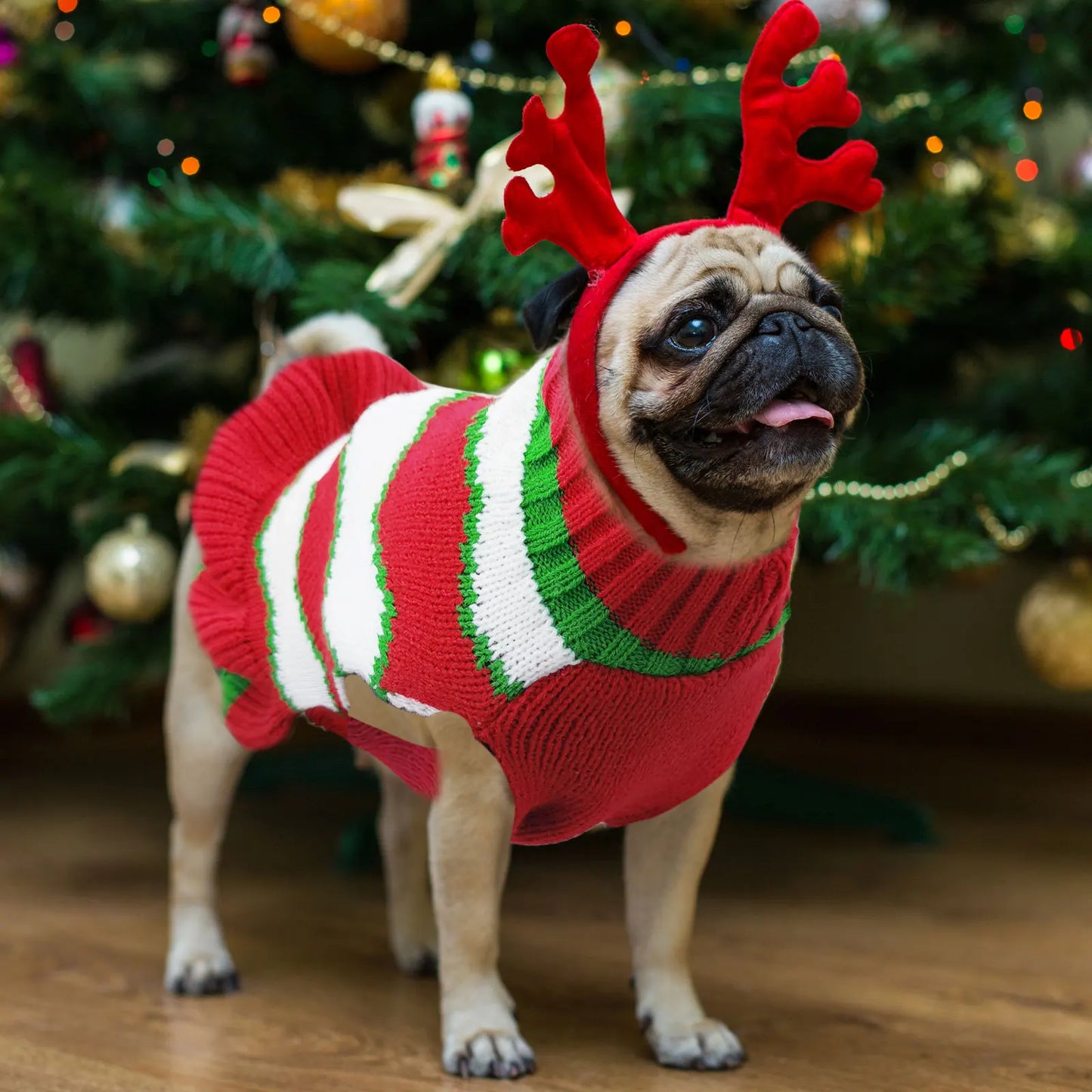 Striped Dog Sweater Dress Winter Knitted Pet Dog Skirt Puppy Coat Dog Warm Clothes Labrador Jacket Costume for Small Large Dogs