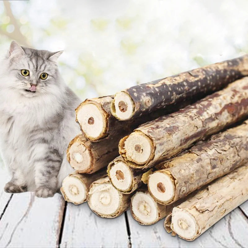 4pcs/Lot Pure Natural Catnip Stick Pet Toys For Cats Molar Toothpaste Branch Cleaning Teeth Silvervine Cat Snacks Sticks