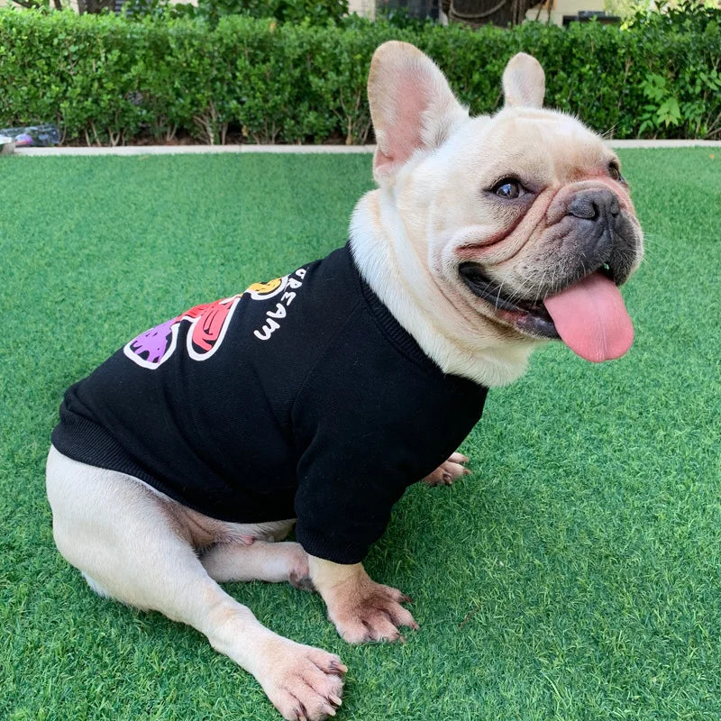 The New Dog Costume Dog Clothes for Small Dogs Parent-child Wear Spring and Autumn Pure Cotton Three Colors Seven Sizes