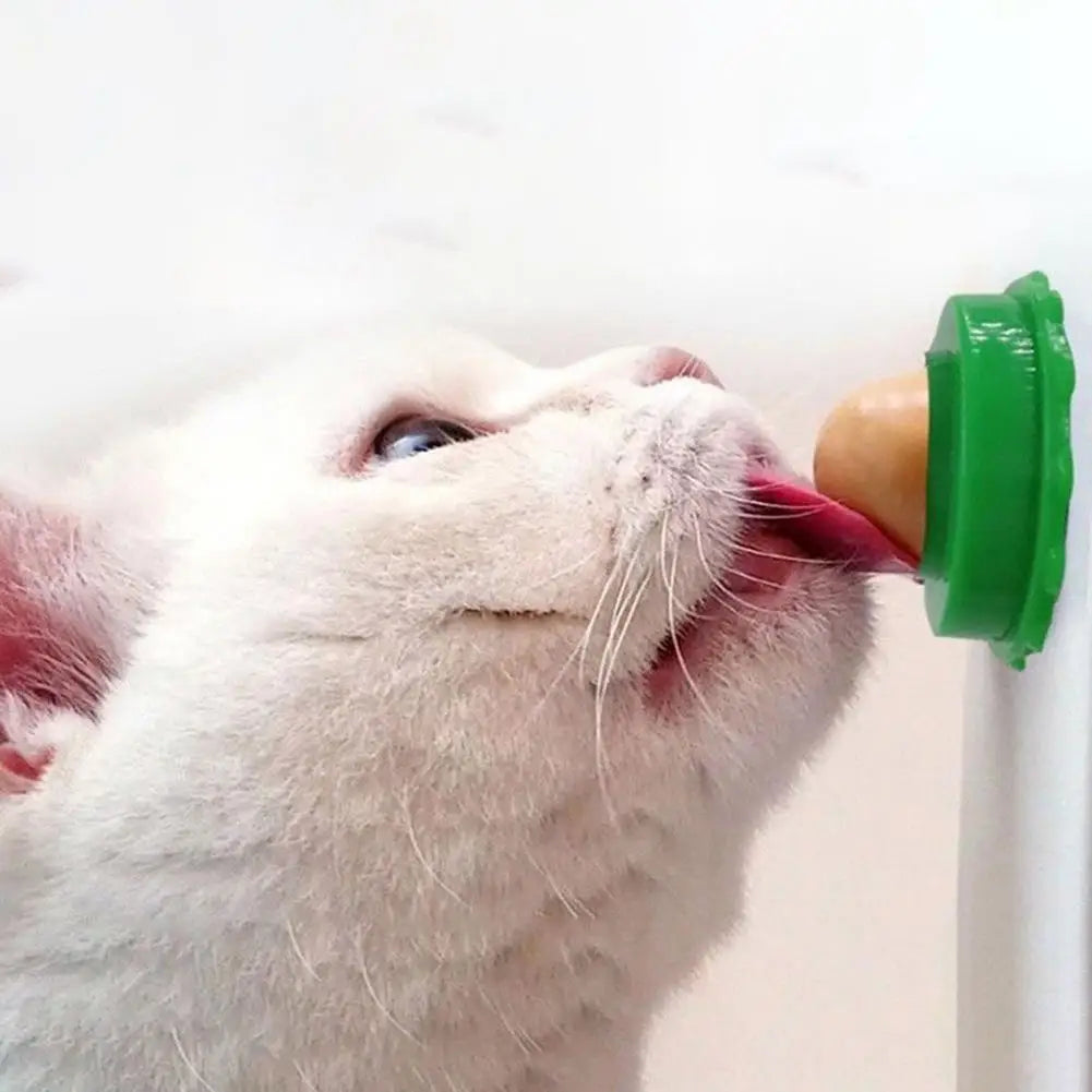 Healthy Cat Mint Ball Nutritious Candy Solid Sticky Wall Digestion Cat Snacks Pet Teeth Cleaning Anti-Bite Snacks Licking Candy