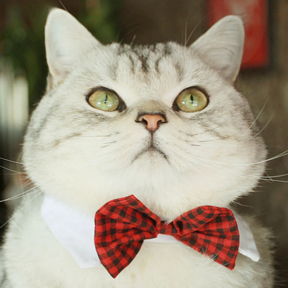 Pet Dog Cat Adjustable Bow Tie Collar Puppy Necktie Bowknot Bowtie Pet Cat Holiday Wedding Decoration Accessories for Small Dogs