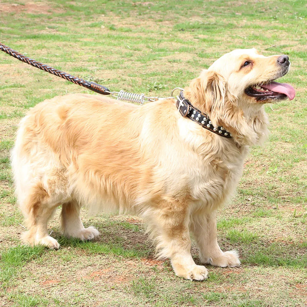 No Pull Leather Dog Leash Durable Cowhide Braided Dog Leash Buffer Spring Design for Training Walking Large and Medium Dogs Pets