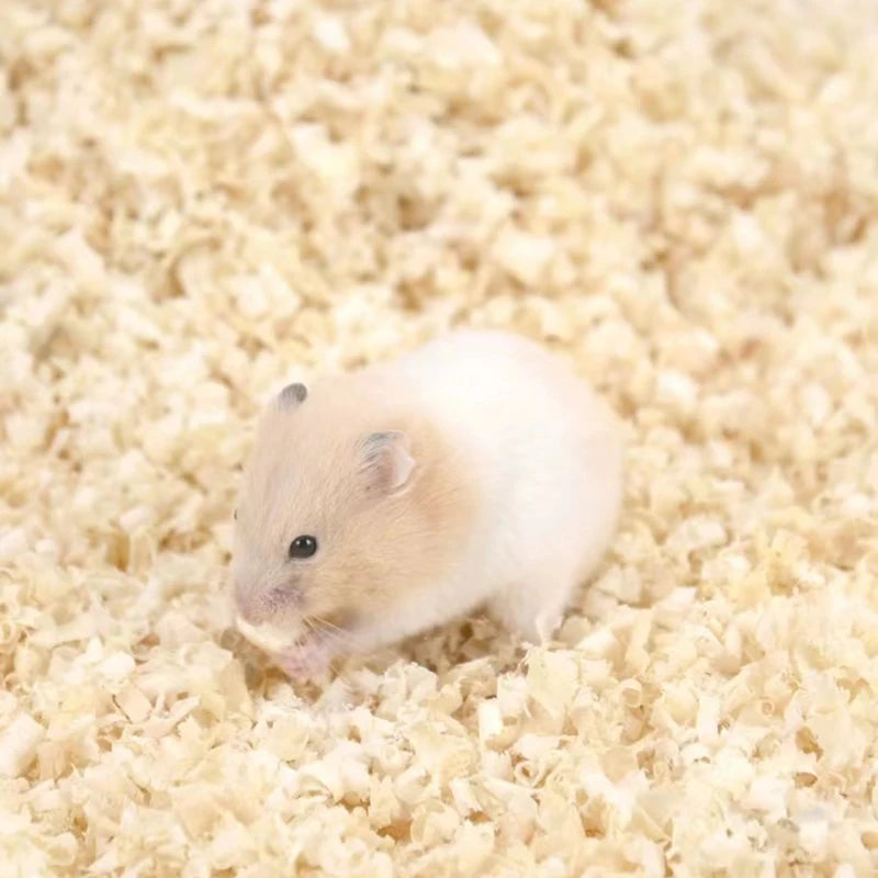 100g Hamster Rat Mouse Wood Chips Bedding for Guinea Pigs Rabbits Chinchillas Birch Bedding Sawdust Cage House Filler Supplies
