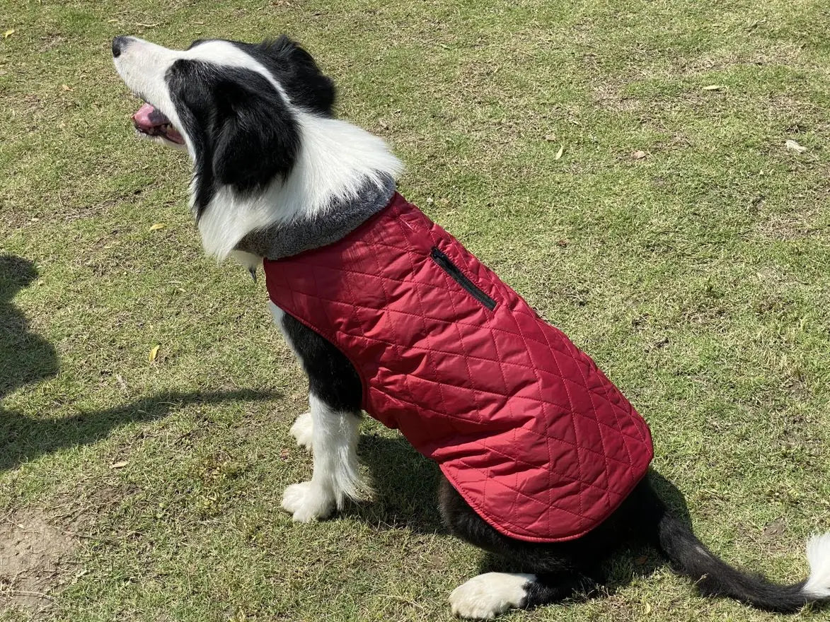 Warm Fleece Collar Dog Coat Jacket Double-Sided Winter Dog Coat Waterproof Puppy Clothing For Small Medium & Large Dogs Supplies