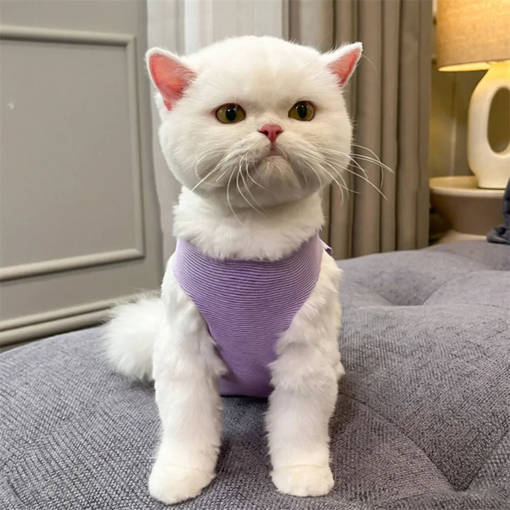 Cat Recovery Suit Breathable Cat Surgery Recovery Suit Onesies Female Kitty Castration Abdominal Wound Recovery Clothing Outfits