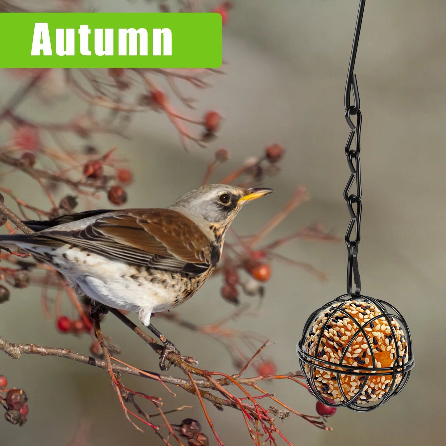 4Pcs Metal Suet Ball Bird Feeder Set with Hanging Chain Squirrel Proof Bird Feeders for Outdoor Garden Hummingbird Feeders