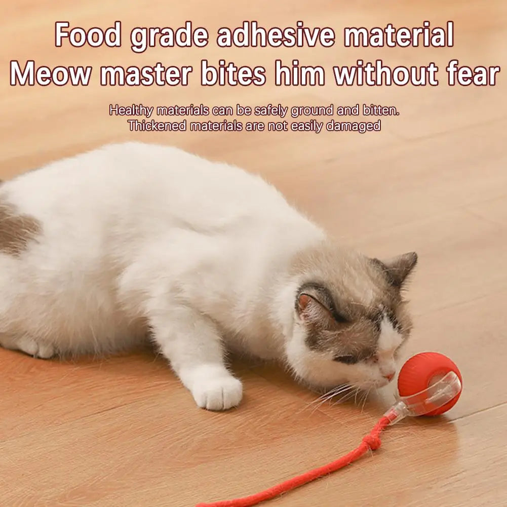 New High-end Cat Rolling Ball Interactive Cat Toy Motion Tail Bird With Teaser Game Pet Chirping Long Toy Kitten Sensor Cat