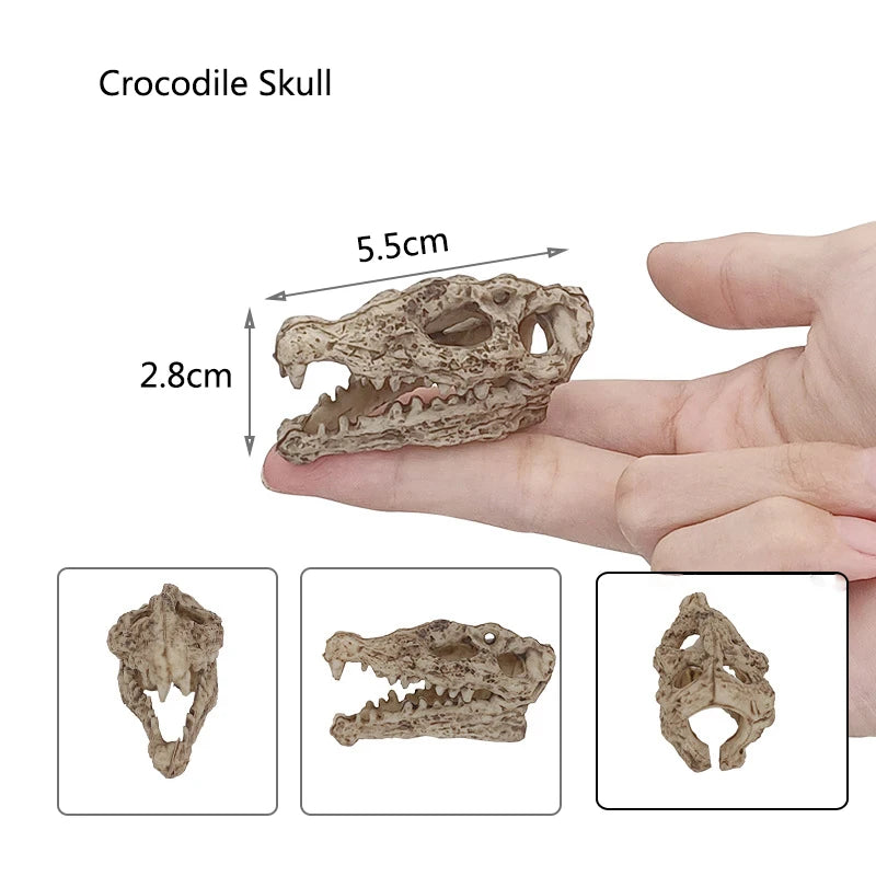 Aquarium Ornaments Decoration Resin Rhinoceros Horned Skull Goat-Head Shape Fish Tank Spider Scorpion Lizard Aquariums Shelter